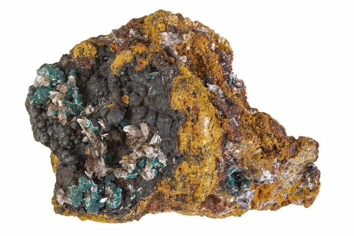 Teal Blue Rosasite and Goethite with Hemimorphite - Mexico #372777